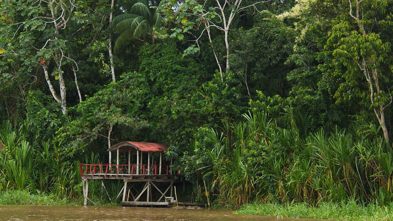 Iván Duque aclara cuántas vacunas serán enviadas al Amazonas tras vainazo de Claudia López