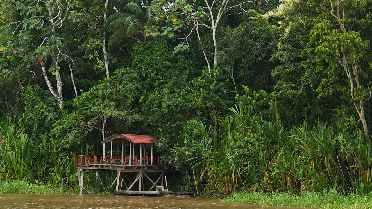 Iván Duque aclara cuántas vacunas serán enviadas al Amazonas.