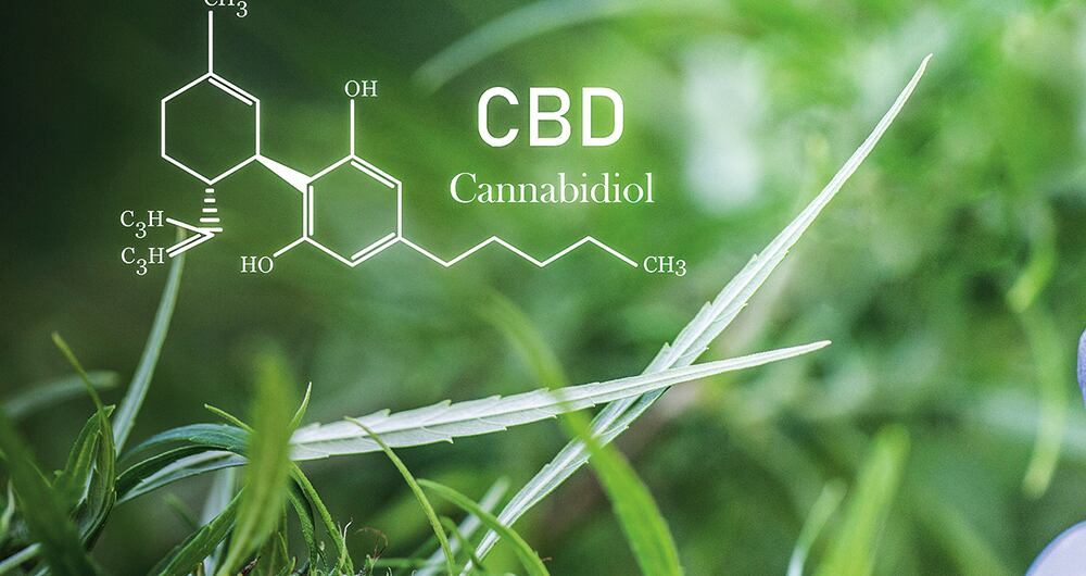 El CBD es el componente medicinal del cannabis. 