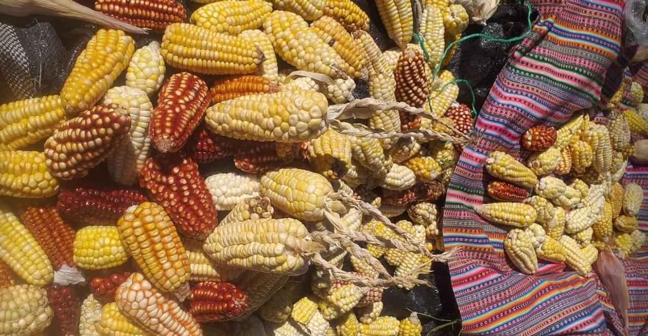 Del 18 al 20 de septiembre se llevará a cabo el II Encuentro de Cocinas Iberoamericanas en Pasto (Nariño).