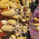 Del 18 al 20 de septiembre se llevará a cabo el II Encuentro de Cocinas Iberoamericanas en Pasto (Nariño).