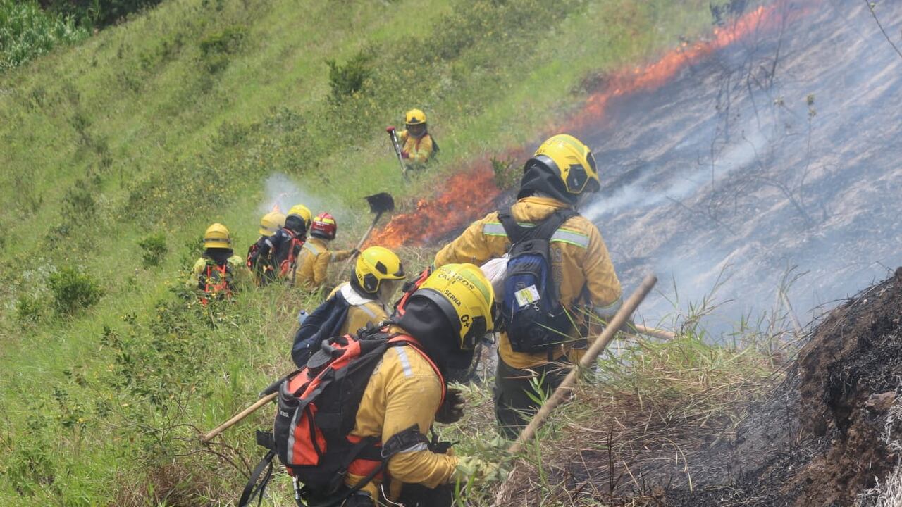 Incendio forestal en cerros de Cali ha dejado más de 330 hectáreas afectadas.