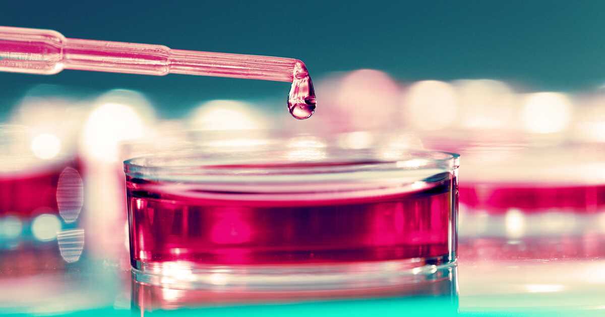 La OMS llegó a China con una comisión para investigar el origen del virus. 