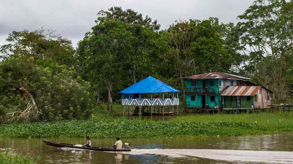 Foto: Proyecto IAPA-Visión Amazónica/Sergio Garrido