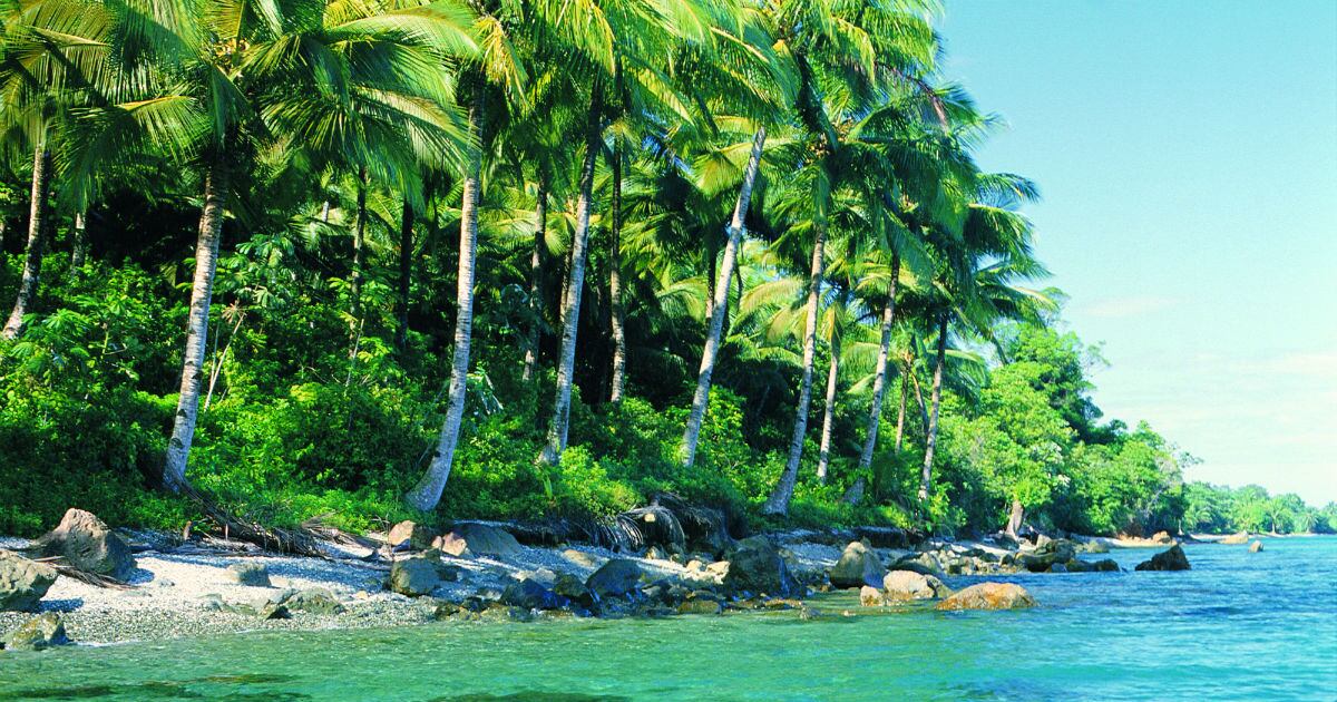 Parque Nacional Natural Isla Gorgona. Foto: Archivo SEMANA