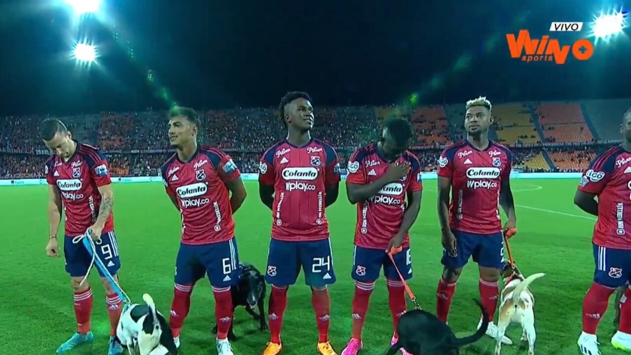 La mascota no se aguantó y aprovechó a merced la grama del estadio Atanasio Girardot.
