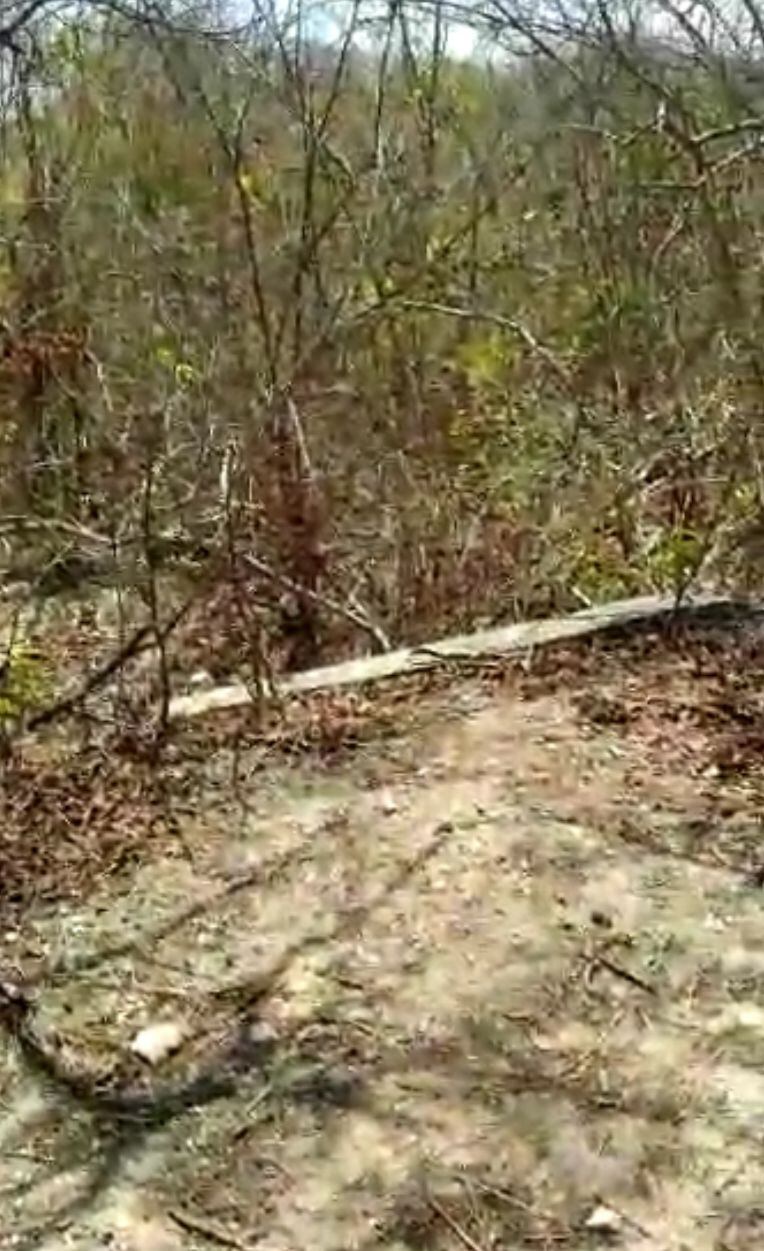 El cadáver fue encontrado en esta zona enmontada.