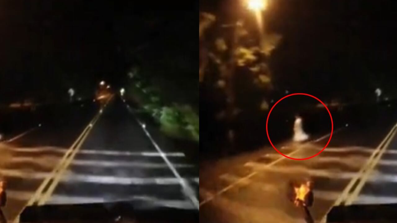 El video ha desatado diferentes opiniones.