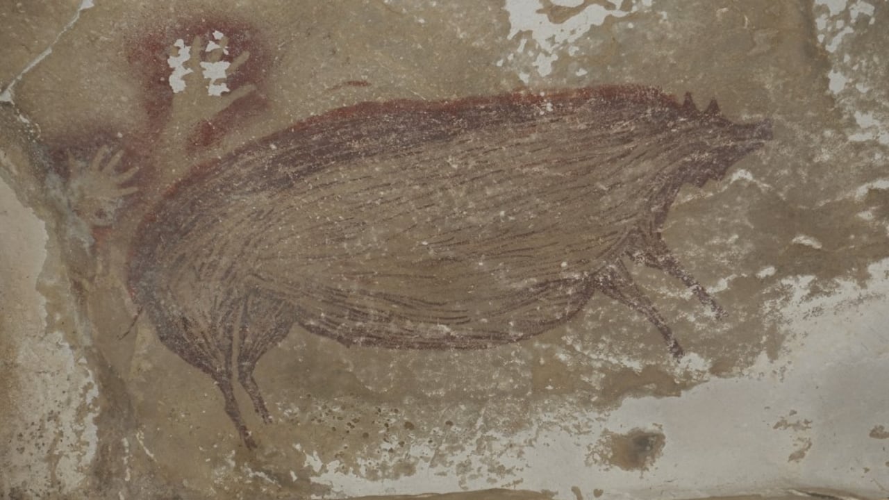 La pintura rupestre más antigua del mundo fue encontrada en Indonesia. Fue pintada por lo menos hace 45,500 años. Foto: MaximeAubert / Griffith University / AFP