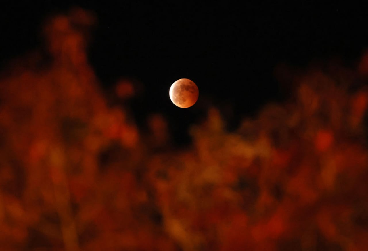 Eclipse lunar total observado en Tokio el 8 de noviembre de 2022 (Foto de YOSHIKAZU TSUNO/Gamma-Rapho vía Getty Images)