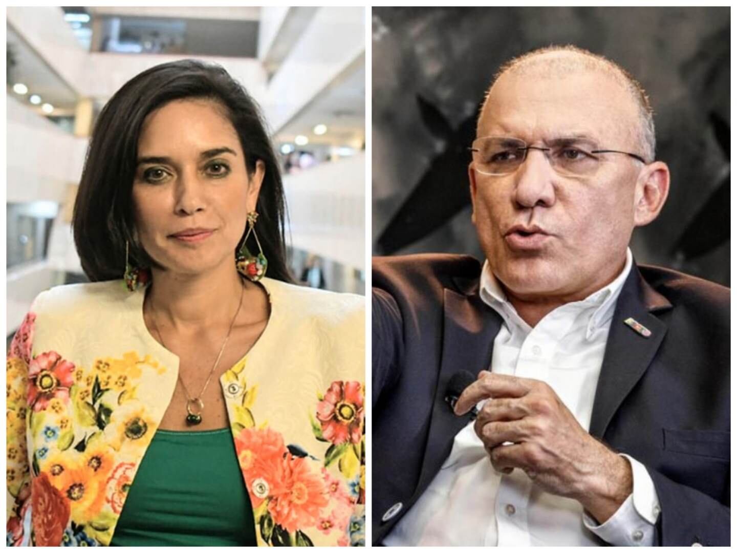 Catalina Ortiz - Roy Barreras.