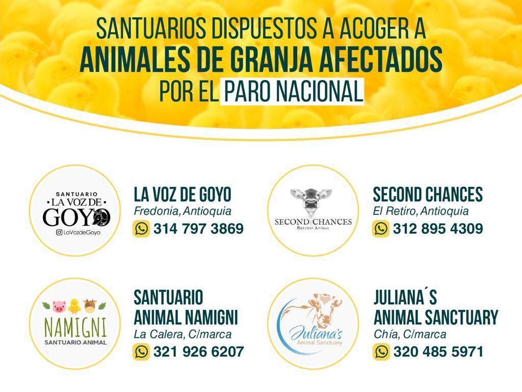Santuarios de animales dispuestos a recoger animales de granja en medio del paro