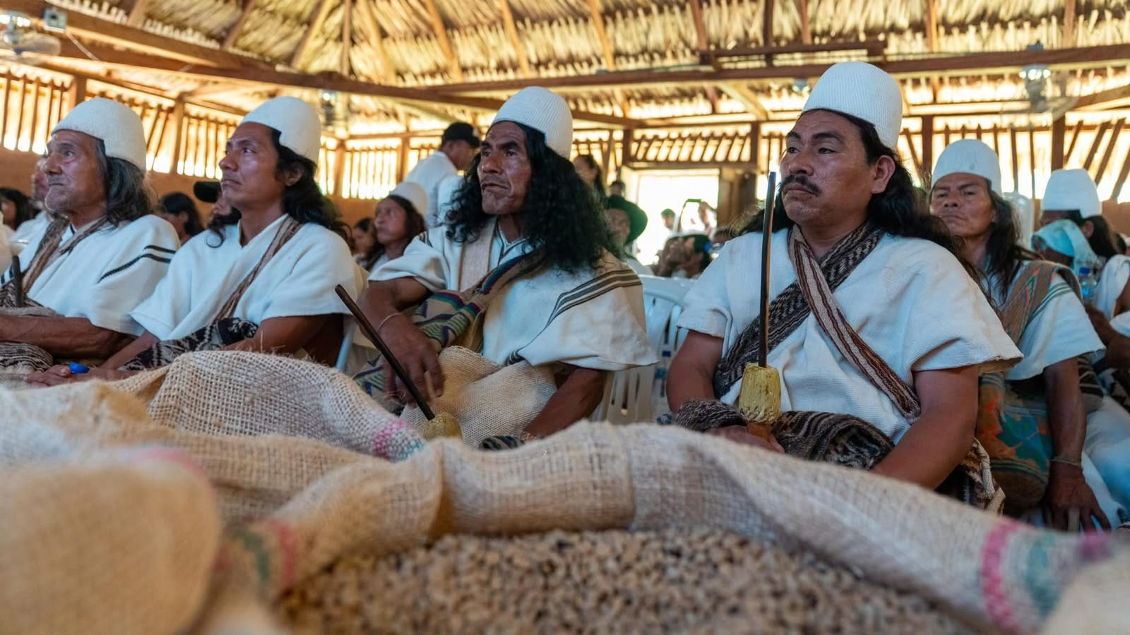 Entre 2025 y 2026, organizaciones arhuacas han exportado más de 158 toneladas de café y cacao hacia mercados especializados de Europa y Asia.