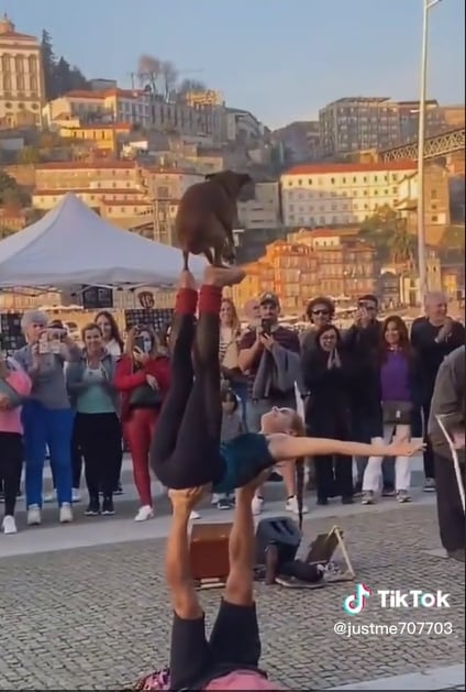 Tik Tok:@justme707703