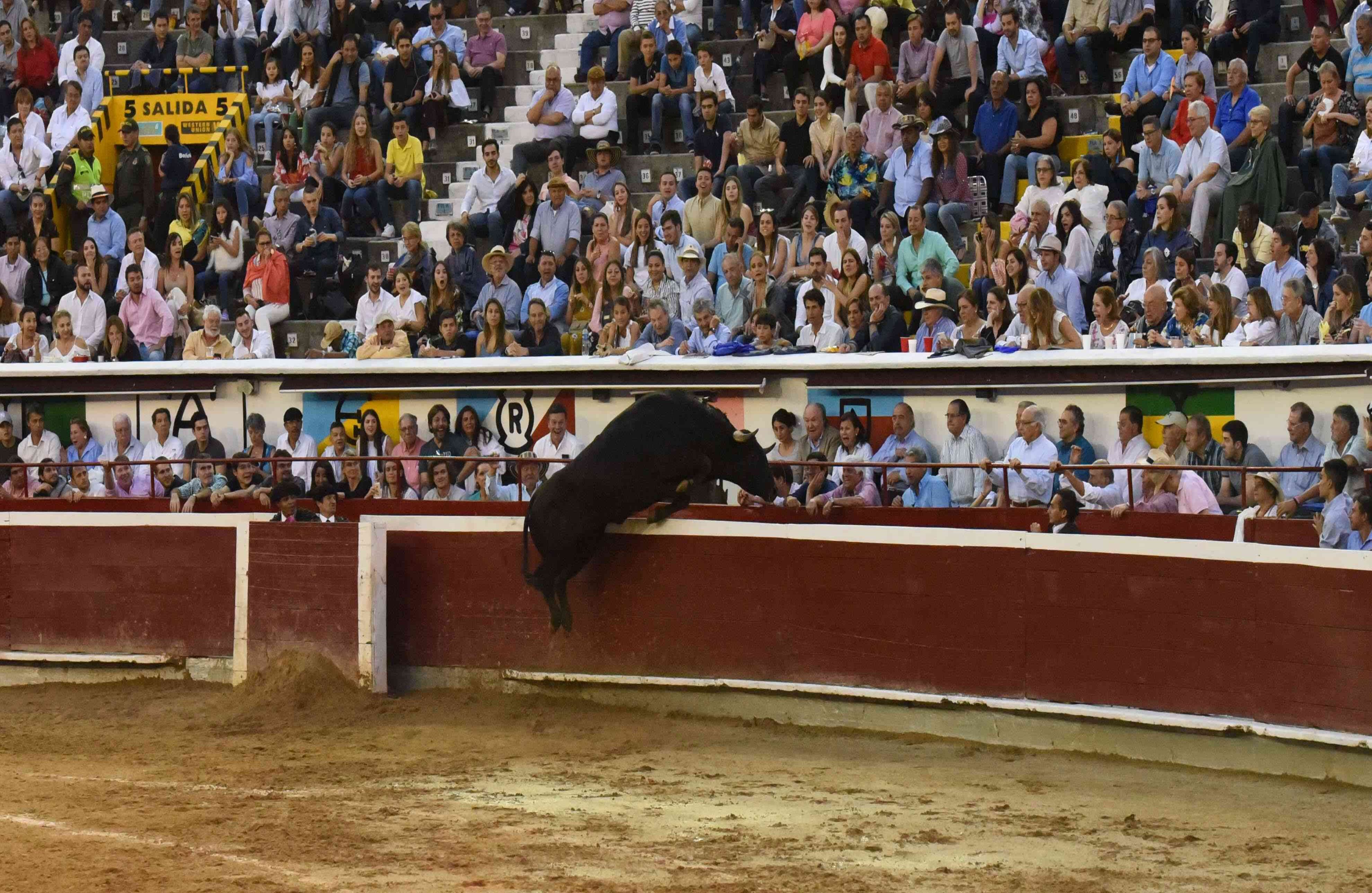 Adriano (Salento) saltó al callejón. Cali, 30 de diciembre de 2017
