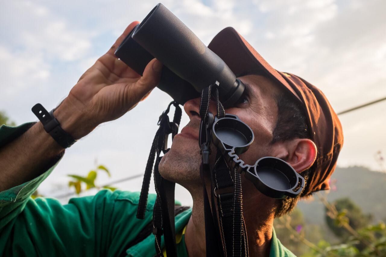 Seis ciudades participarán en el City Nature Challenge