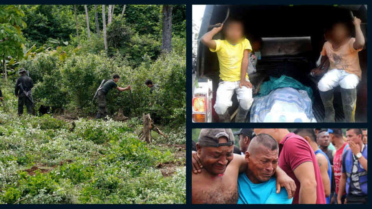 En el Alto Mira y Frontera, en Tumaco, Nariño, la Policía erradica los cultivos de coca que considera industriales. Allí no hay opciones de sustitución para los colonos que se instalaron hace 15 años, cuando el Plan Colombia los desplazó de Putumayo y Caquetá. Los campesinos se oponen a la erradicación y en esta oportunidad hubo amenazas de grupos armados para que salieran a enfrentarse a la fuerza pública.