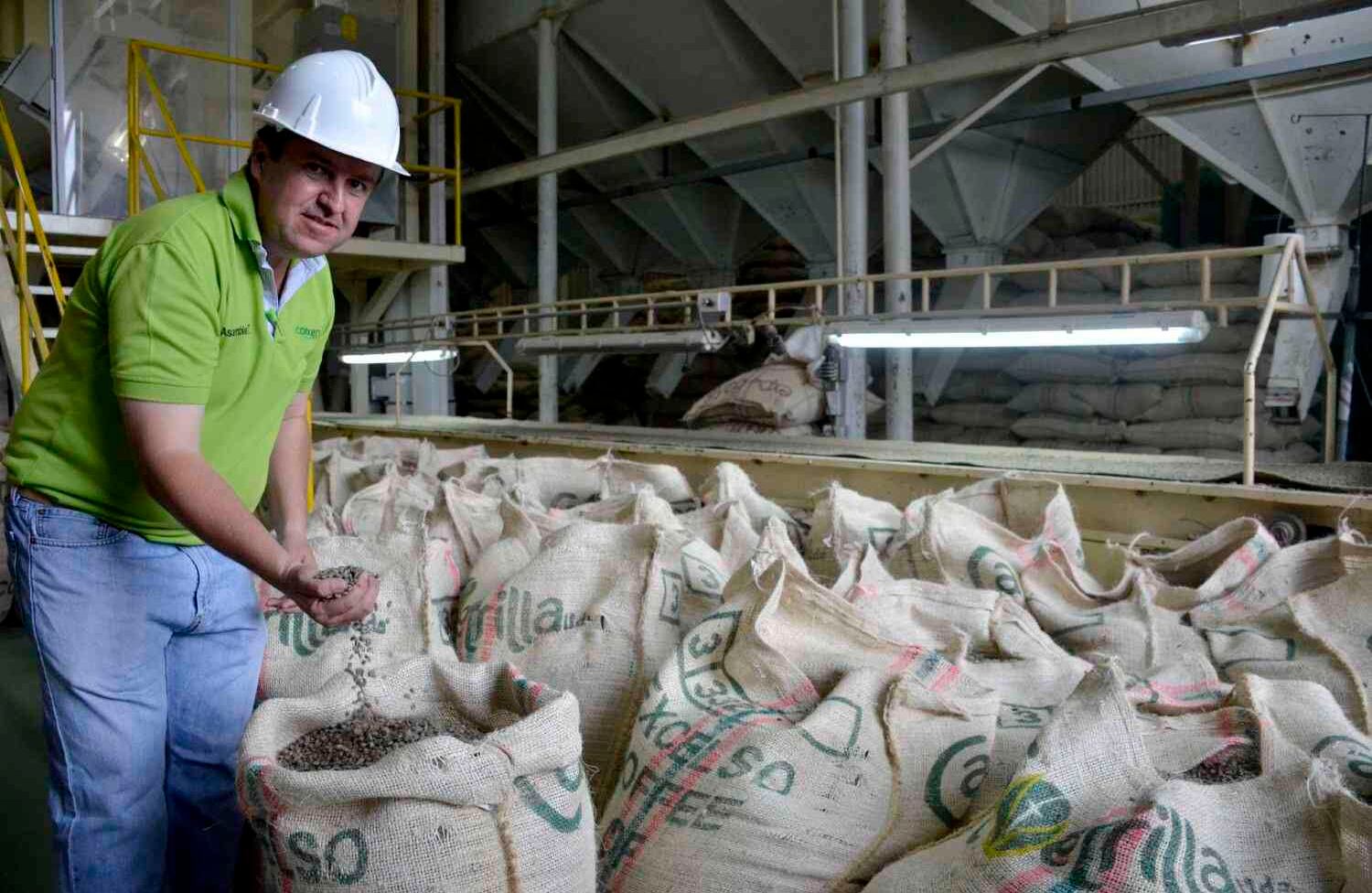 Coocentral es una de las cooperativas de caficultores del departamento del Huila. Su objetivo es promover la economía sostenible, cuidar el medio ambiente y contribuir con la responsabilidad social. A la fecha, cuenta con unos 4.000 asociados de los municipios de Garzón, Gigante, El Pital, Tarqui, Suaza y Guadalupe. foto: Diana Rey Melo