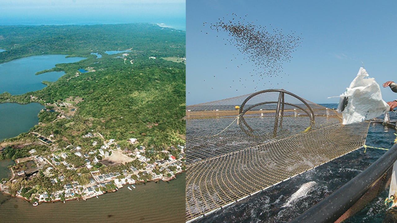 Con la decisión del Incoder, el proyecto para construir la nueva base naval de Cartagena sufrió un duro golpe ya que no podrá contar con todos los terrenos que pensaba eran de propiedad del Estado, pero que hoy son pescadores, nativos y empresarios.