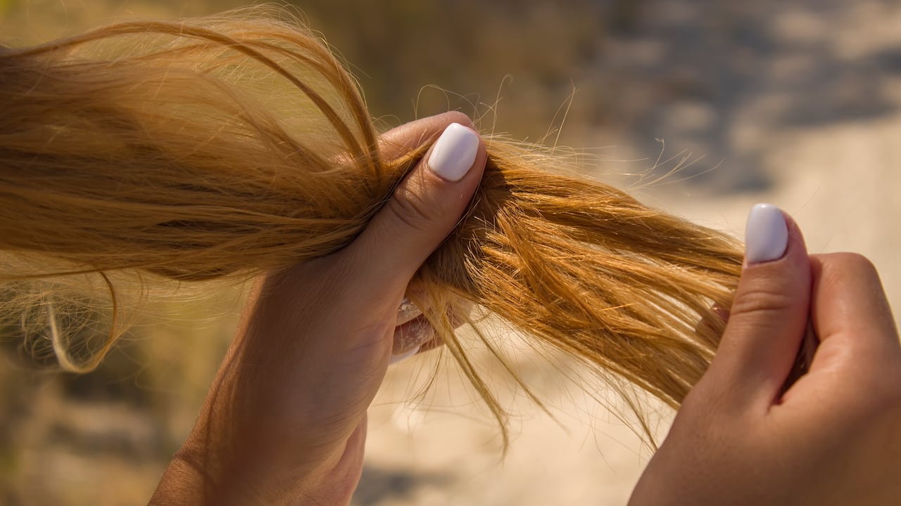 Existen diversos productos caseros que ayudan a´mejorar la condición del cabello seco.