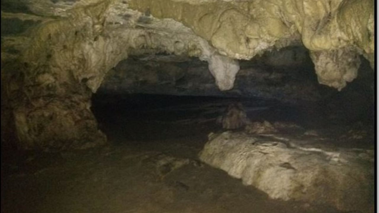 El Guacamayo, Santander