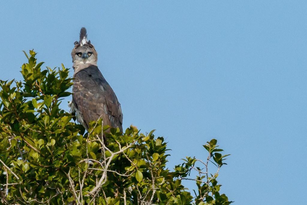 Expedición por el río Tillavá