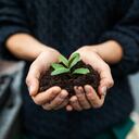 5 de junio: ¿Por qué se celebra el Día del Medio Ambiente este sábado?