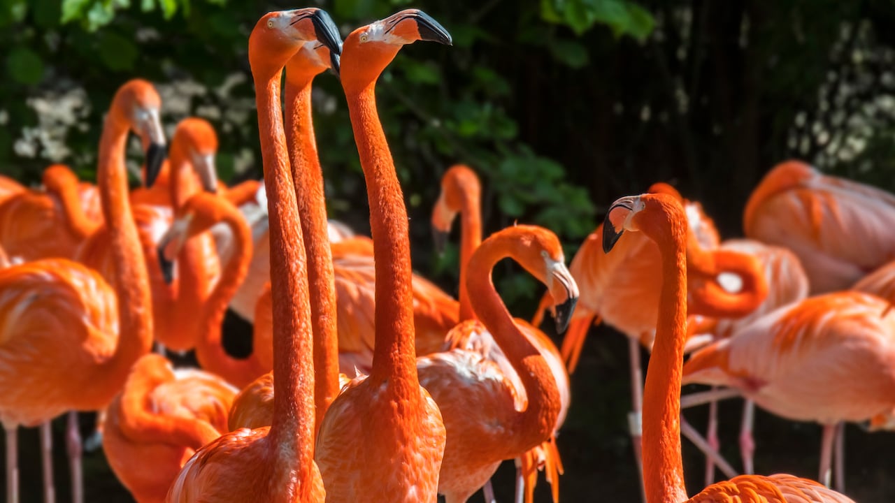 La región Caribe será protagonista durante la temporada de fin de año.