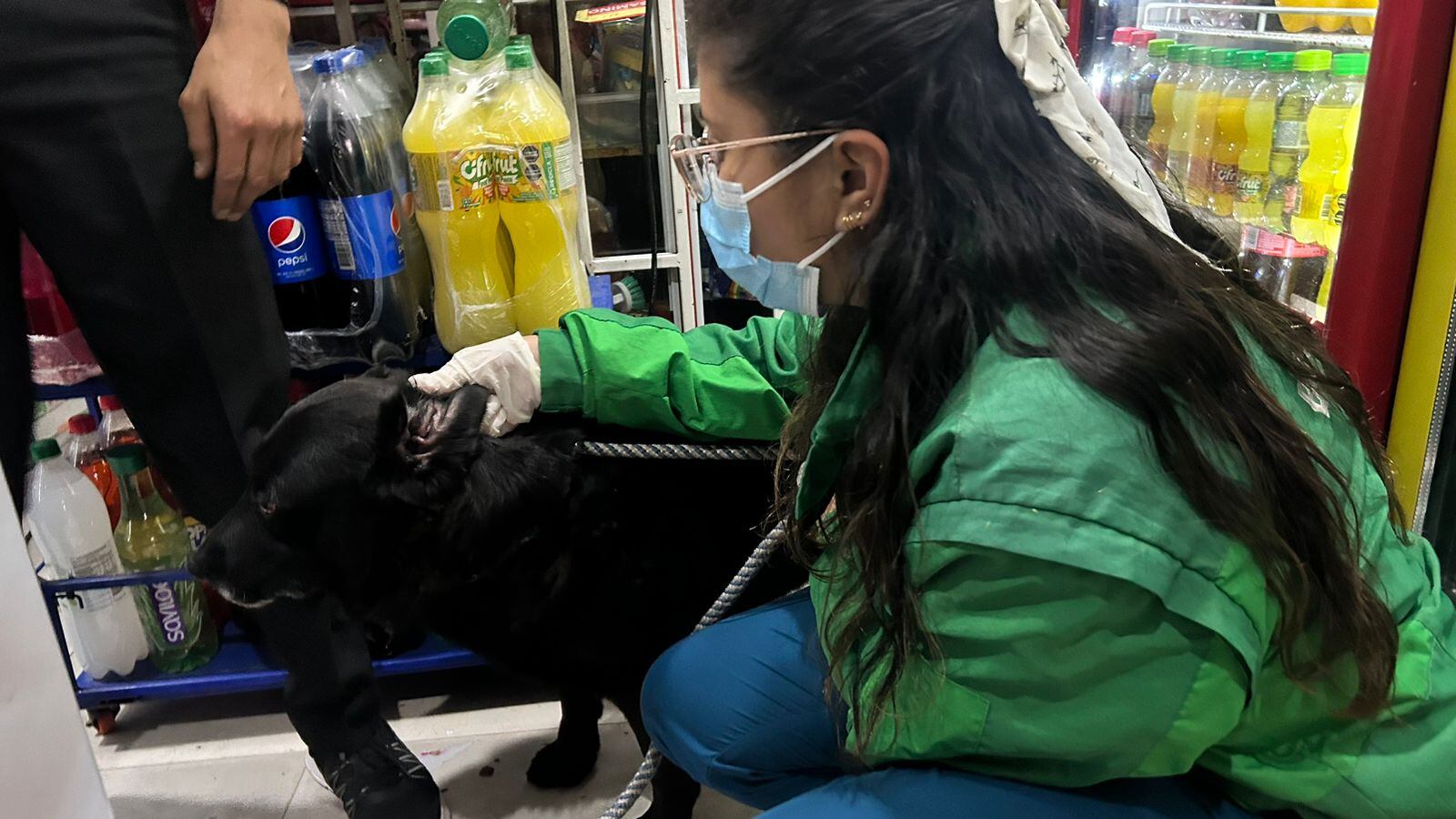 Atención integral a Negrita