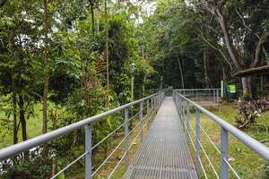 Reportaje gráfico. Humedales de Cali. Lago de las Garzas.