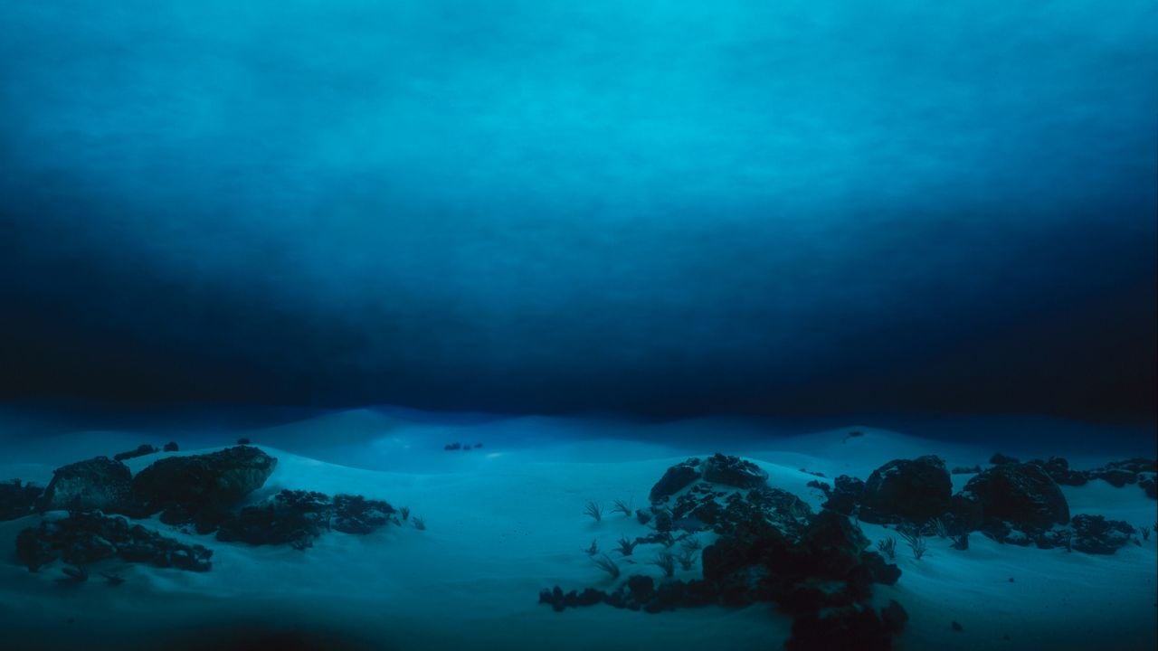 Fondo marino.