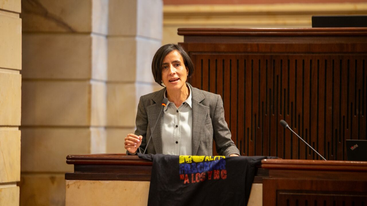 Con la participación de distintas comunidades del territorio nacional, expertos y la ministra de Ambiente y Desarrollo Sostenible Susana Muhamad se llevó a cabo la Audiencia Pública sobre la prohibición del fracking y los yacimientos no convencionales en Colombia, en el Congreso.