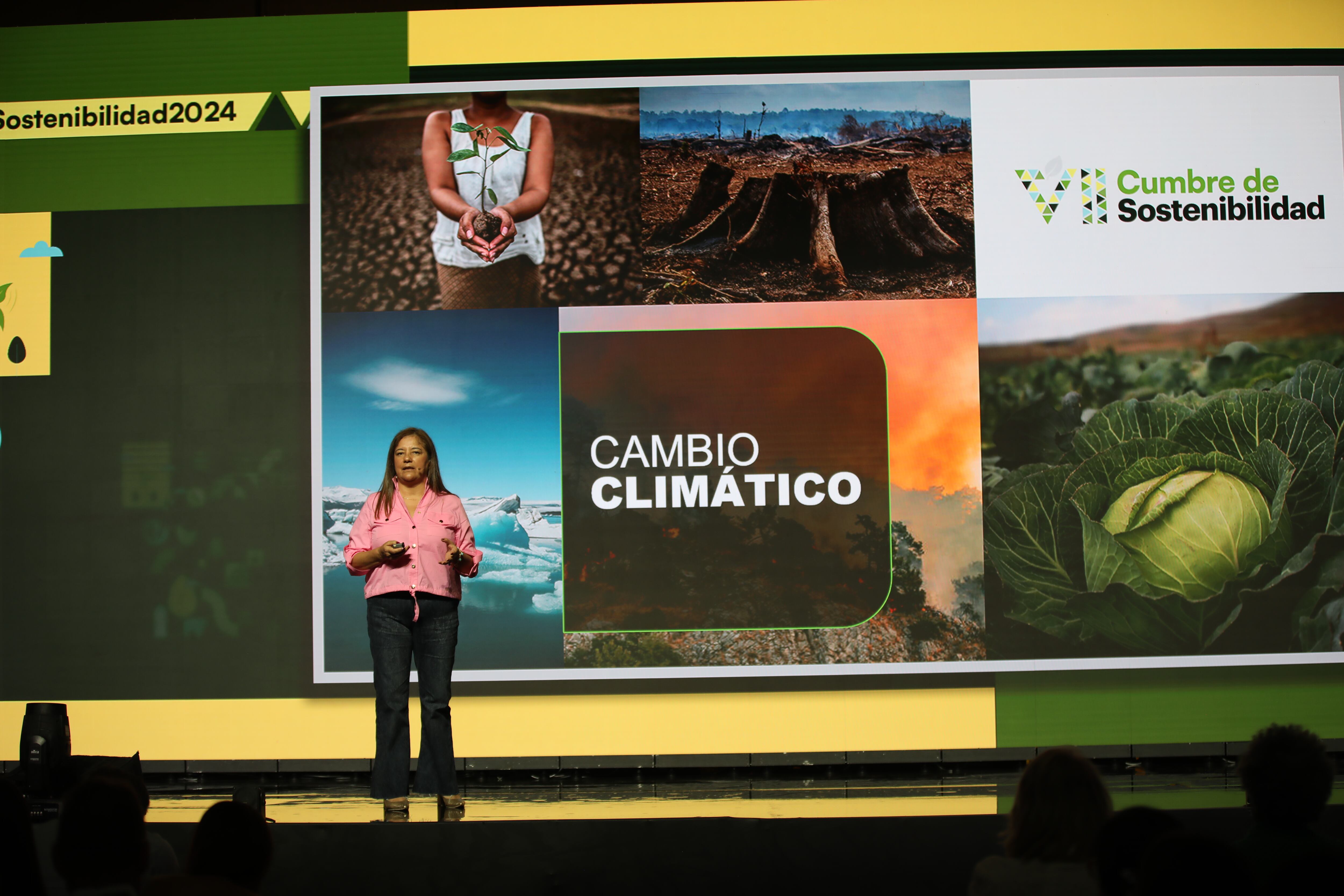 VII Cumbre de Sostenibilidad
La nueva economía climática