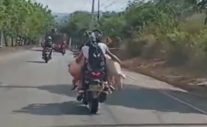 La imagen se ha viralizado.