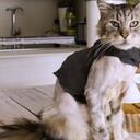 Romeo tiene 9 años y sufría de permanentes desmayos por un problema en el corazón.