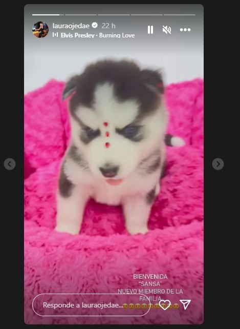 Sansa, la nueva mascota de Laura Ojeda y Nicolás Petro