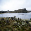 El 21 de septiembre, bajo el lema que dirige esta edición del festival “Siembra agua”, los participantes se unirán en una jornada de siembra de plantas nativas en el páramo de Sumapaz.