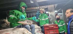 Para la temporada de Semana Santa
se prevé una comercialización de pescado de 28.000 a 30.000 toneladas.
