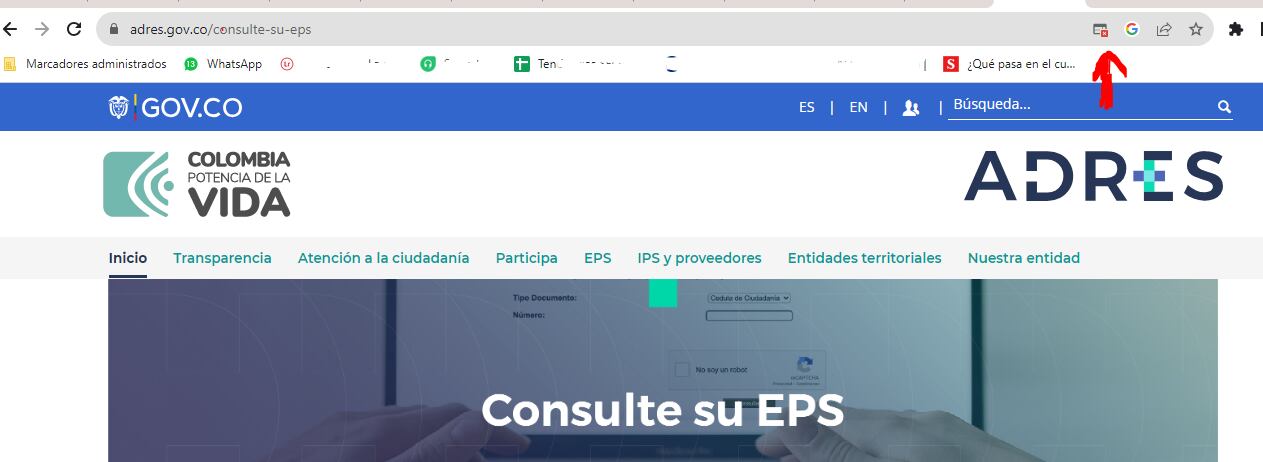 eps consulta de afiliación