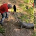 Ataque de cocodrilo en Australia