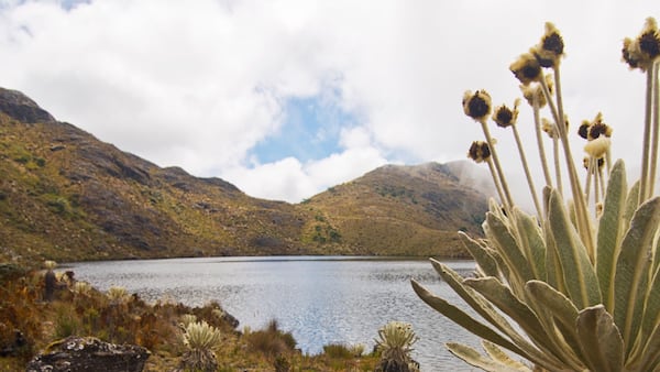 El páramo de Santurbán ha sido motivo de polémicas por las exploraciones mineras que se han querido hacer en ese ecosistema