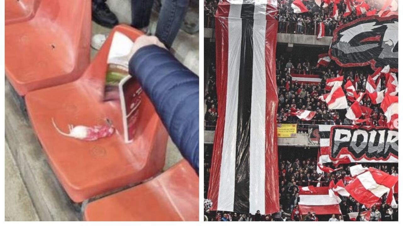 Hinchas del Charleroi le arrojaron ratas muertas a aficionados del Standard de Lieja