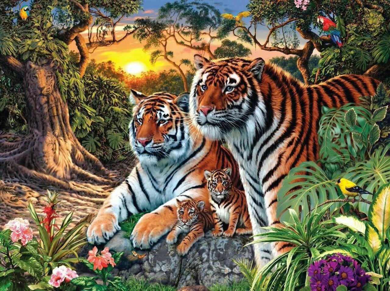 Reto visual de los tigres