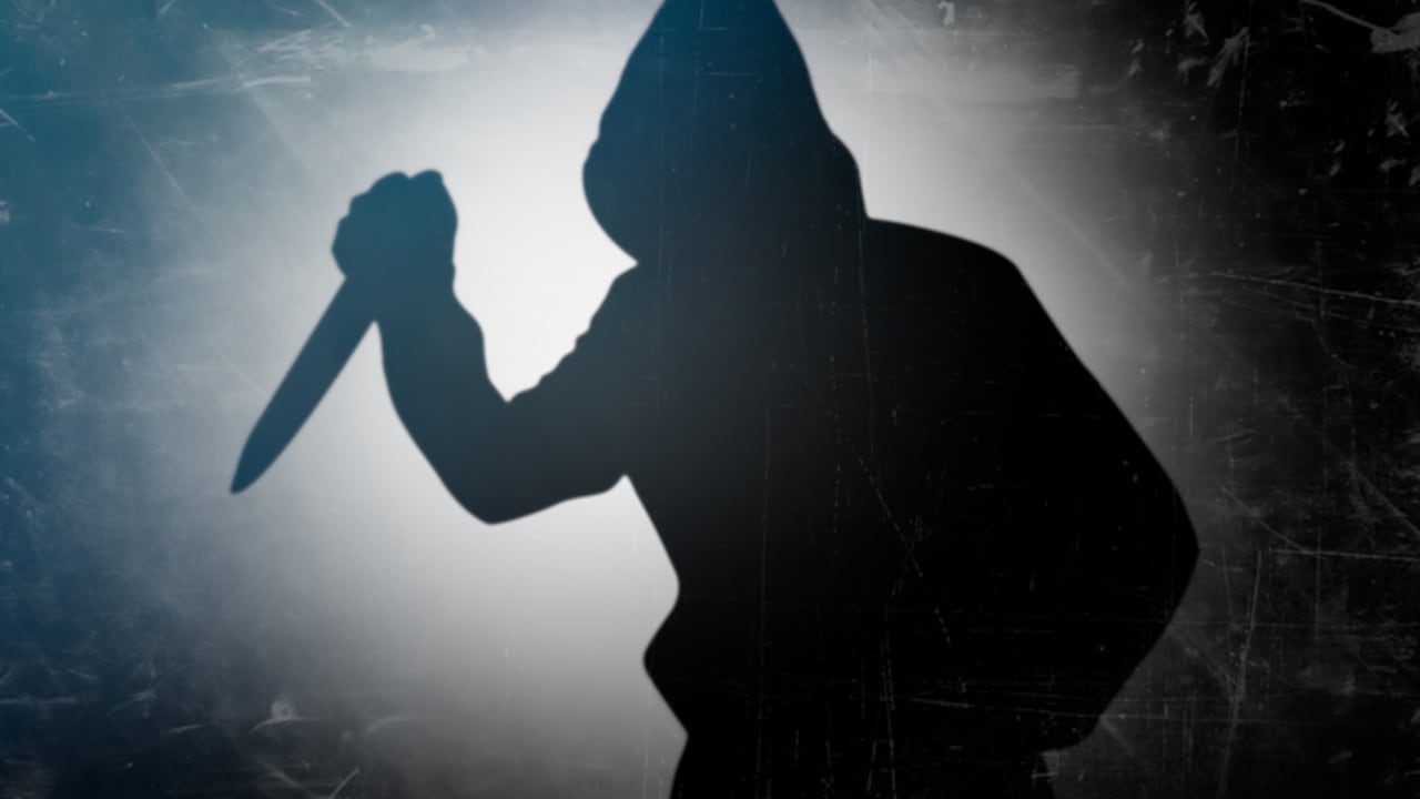 Los asaltantes se llevaron el carro que estaba parqueado en la entrada.