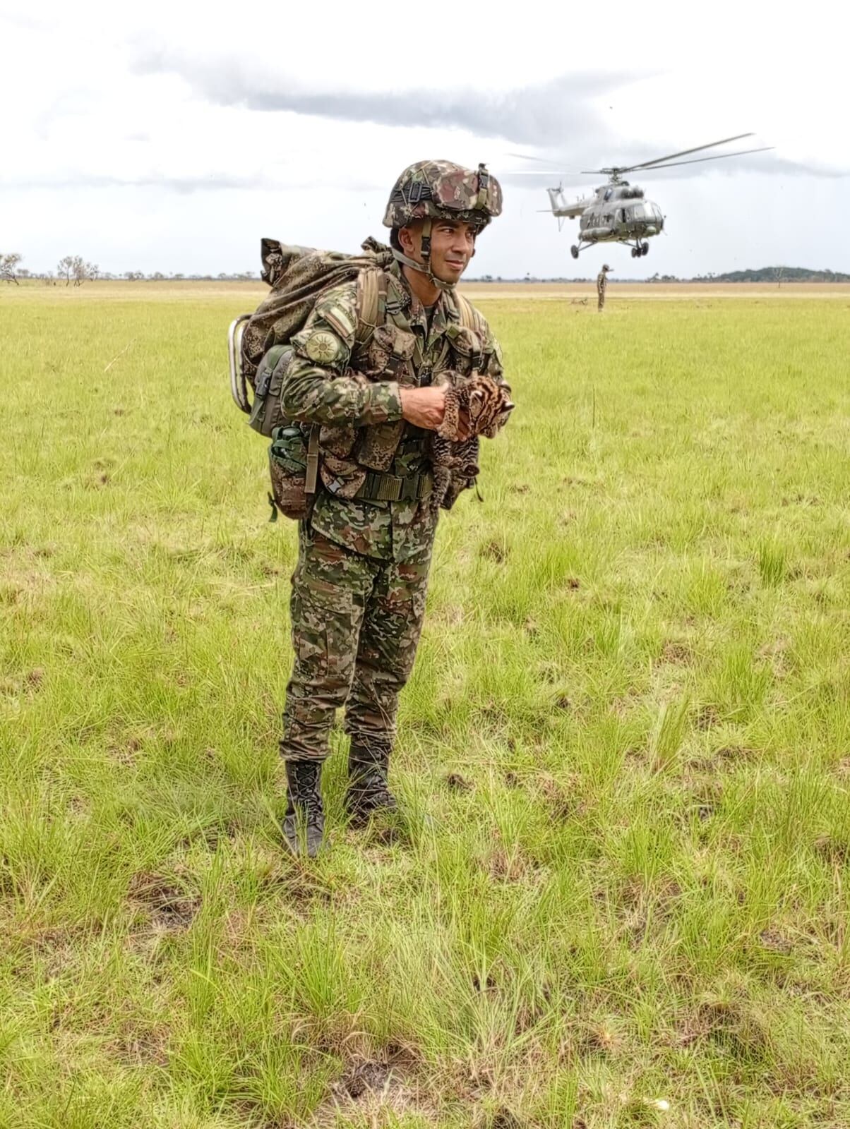 Tigrillo rescatado en manos de un soldado del Ejército Nacional.