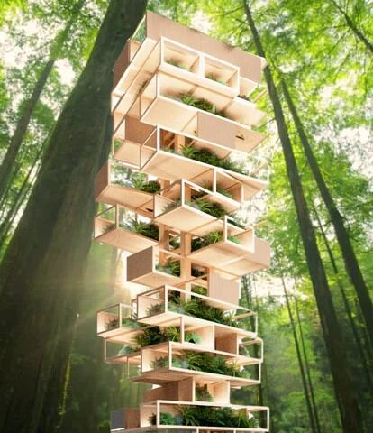 A diferencia del típico juego de Jenga, uno de los más populares del mundo, el Jenga de la Biodiversidad no se desestabiliza ni derrumba.