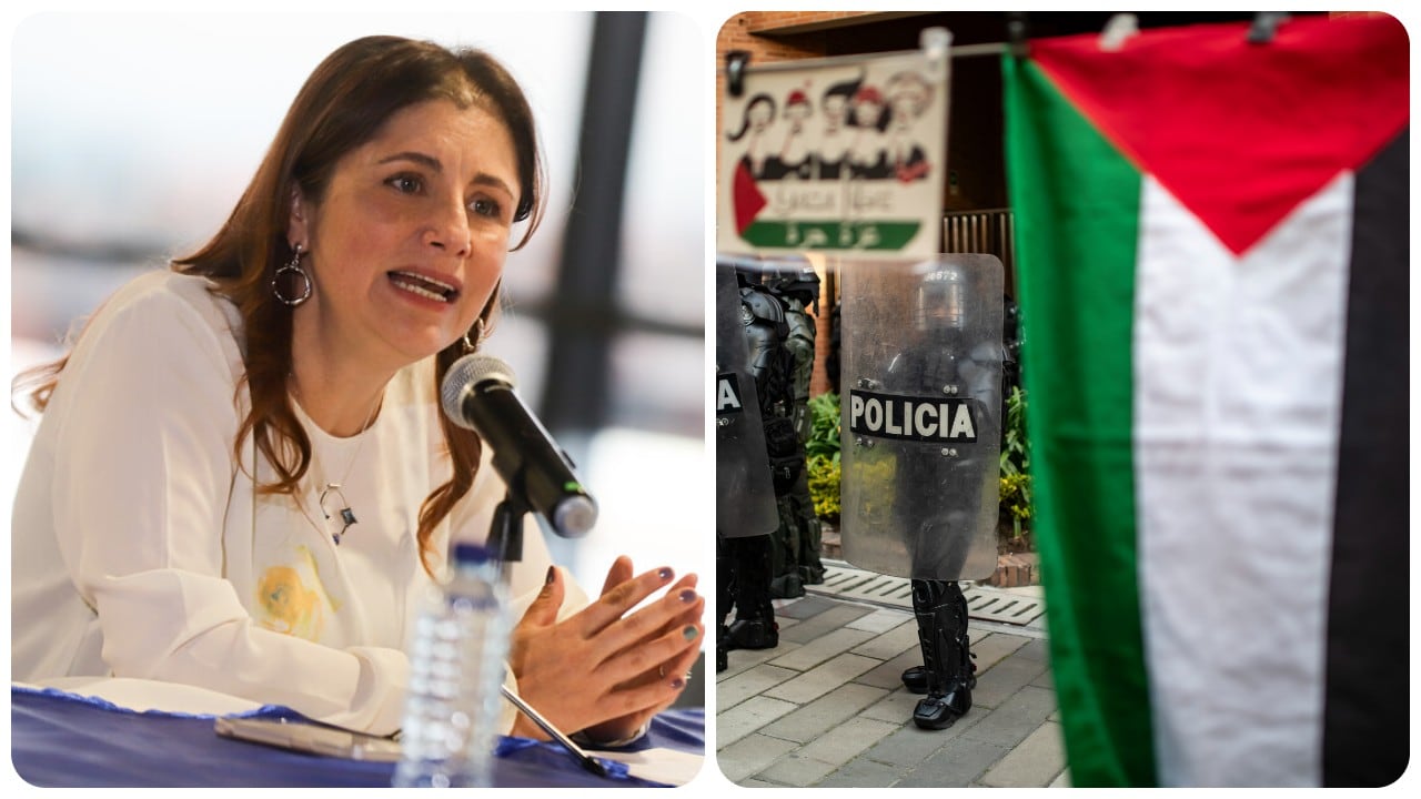 La Defensoría del Pueblo, en cabeza de Iris Marín, se pronunció sobre las protestas en favor de Palestina en Bogotá.