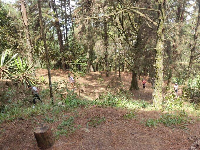 En total 15 personas fueron asaltadas