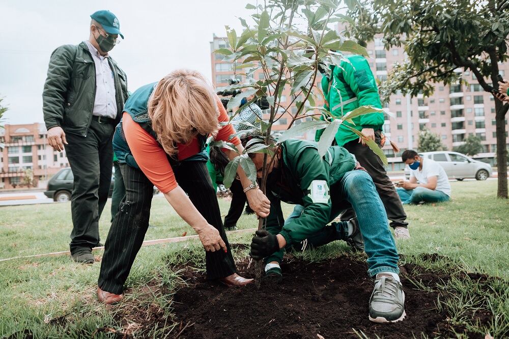 Los ciudadanos pueden proponer lugares en los que consideran se deben sembrar árboles y hacer la petición ante el Jardín Botánico.
