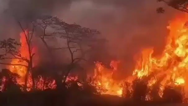 Incendios forestales en San Luis y el Guamo, en el Tolima.